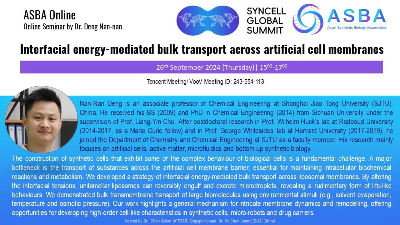 interfacial energy-mediated bulk transport across artificial cell membranes