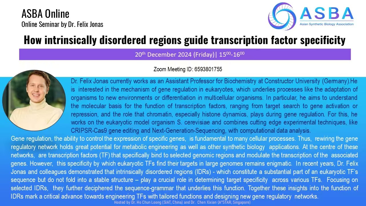 How intrinsically disordered regions guide transcription factor specificity