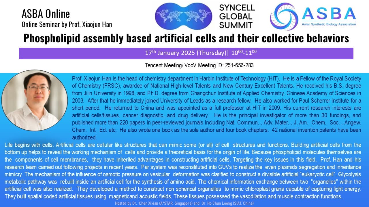 Phospholipid assembly based artificial cells and their collective behaviors